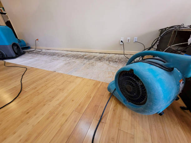 Professional Structural Drying technician working in Payson, IL